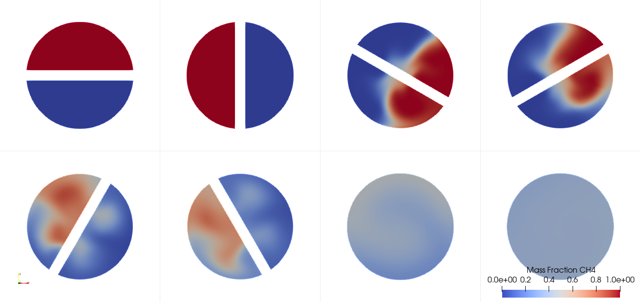 Species Mass Fraction